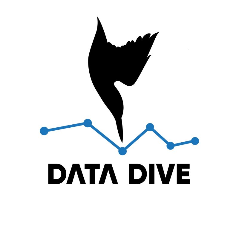 Data Dive
